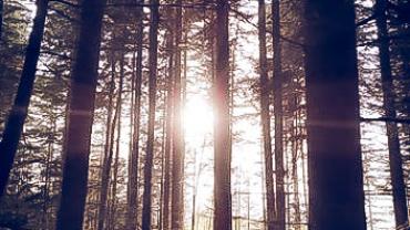 91323244 226899548509037 5008859060380893184 N