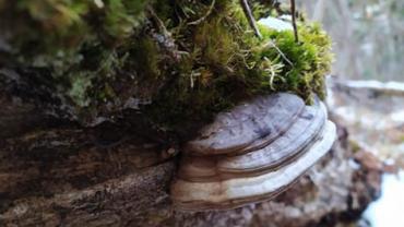 91378440 153223879306485 5258979586124808192 N