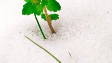 91389462 222422992310775 3301198566210404352 N