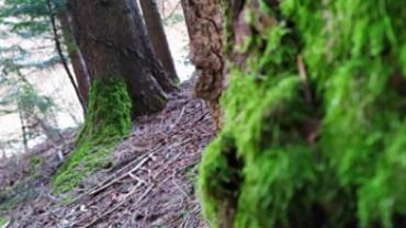 91391304 1312360155624594 1022063106752249856 N