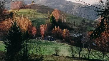 91398686 687972055306838 6742555191033200640 N