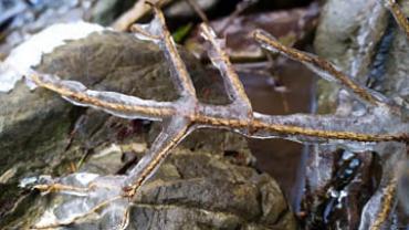 91983325 767547183651608 6154257805214744576 N