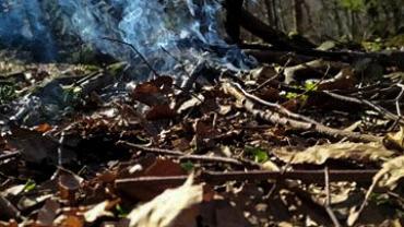 92130228 244166406783338 8821927778774417408 N