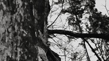 92213958 2595668024035088 4345153275889188864 N