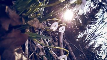 92219891 214817623138005 1538279138773696512 N