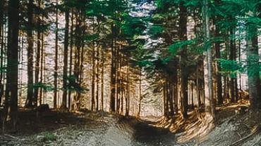 92226236 538586620387225 275258243477929984 N