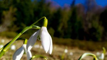 92232844 1164331167248485 1440562332072673280 N