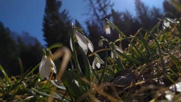 92240459 362055251337137 3197205936116596736 N