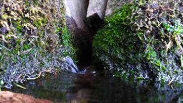 92434081 1849873161814171 191292938511187968 N