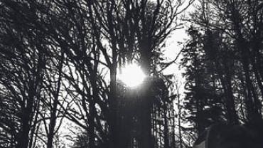 92927249 1077719089257063 770638972534652928 N