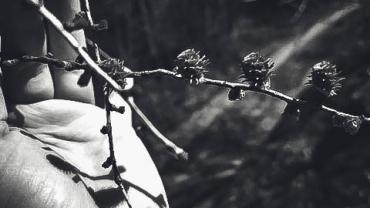 93013198 225178272031475 8836251009375272960 N