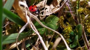 93024920 217929452811325 4609033661373743104 N