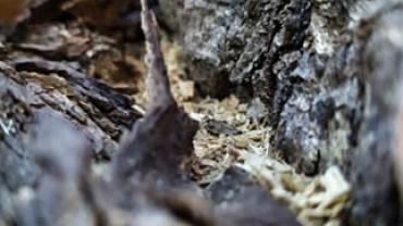 93486465 249459689773667 7641415498747346944 N