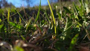 93651190 1364016283986592 4558801708154617856 N