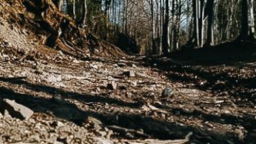 93818213 229388478147172 107147648644939776 N