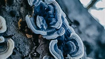 93856338 642281479959704 4061146042295386112 N