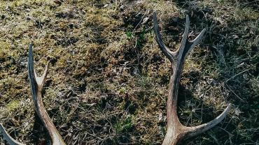 94561545 1611087455714682 3143685953504149504 N