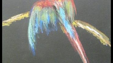 94482679 130473188595862 8576931522676785152 N