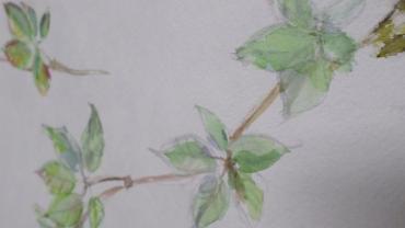 94687699 130478121928702 4176351680947814400 O