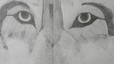 94702516 130474708595710 3856802063971254272 O