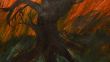 94721561 130472495262598 4546555210205495296 O