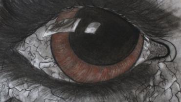 94883289 130475341928980 5924583677441867776 O