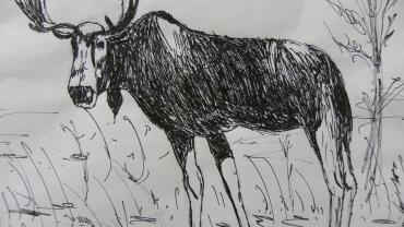 94886959 130474481929066 8962254621011607552 O