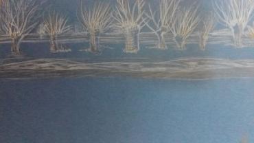 94962405 130476348595546 9133728703518343168 O