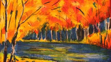 95082152 130475165262331 4241188524428099584 O