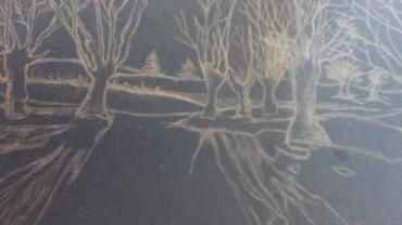 95093370 130476071928907 6434786536205582336 O