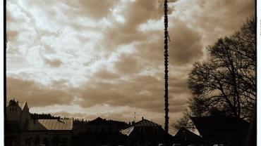 12891133 10204390016069172 8743848727823589718 O