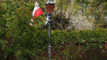 13113000 10204569842844729 6735128988446697524 O