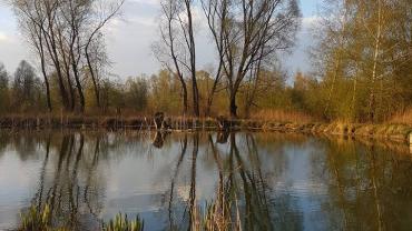 17757450 10206694903569919 9071497715841073411 N