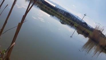 17862449 10206694902409890 6960315043069639137 N