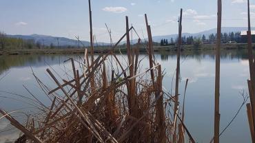 17883874 10206694900649846 6458390664429514672 N