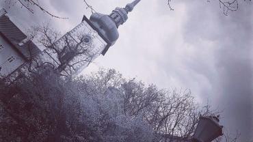 17917918 10206715858933790 1614048691237947526 O