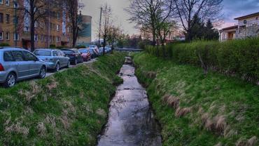 17991494 10206773465733924 4464323768115815266 O