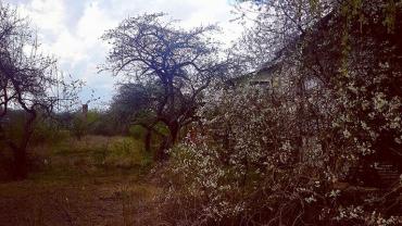 18055957 10206800906059915 96726556667529452 O