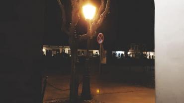 55842735 10210714047366002 2285635587517972480 N