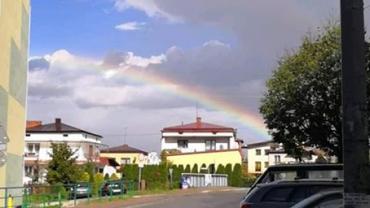 P. Marzena Pletkiewicz