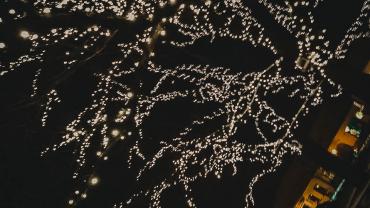 Mariola Maciuszek 12