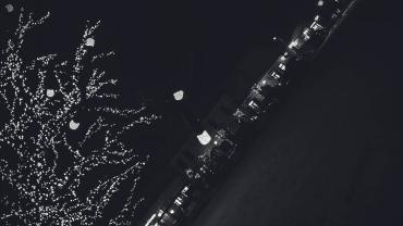 Mariola Maciuszek 16