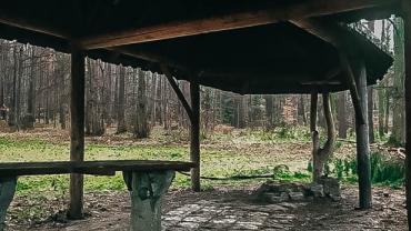 Oleksandr Shpakivskyi 3