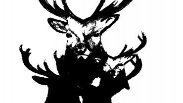 94886129 237010697547452 8694418523402797056 N