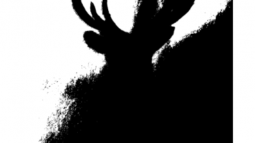 95136915 577577806297618 1388076646304579584 N