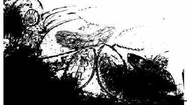 95216199 659953711241021 7304344979298582528 N