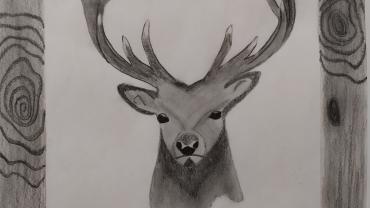 95266159 160716918691714 1382405592961777664 N