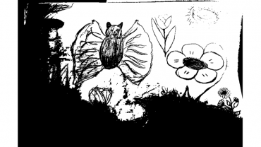 95340461 957679897980760 9206433403098890240 N