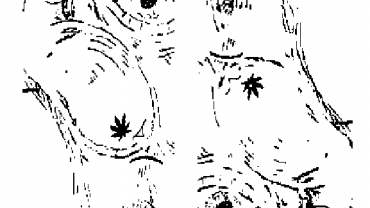 95492975 860579371074560 872612216380063744 N