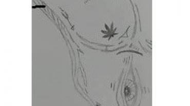 95579651 2287748128199328 727890647641489408 N